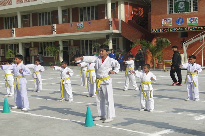 Dronas International School-Taekwondo