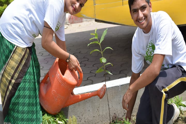 Dynasty Modern Gurukul Academy-Plantation