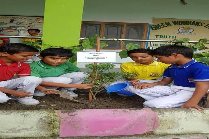Green Wood Public School-Tree Plantation