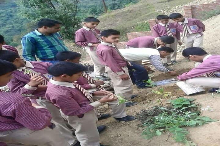 Gurukulam Academy-Plantation