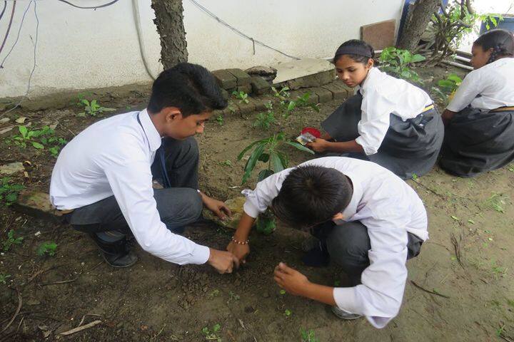 H R Public School-Tree Plantation