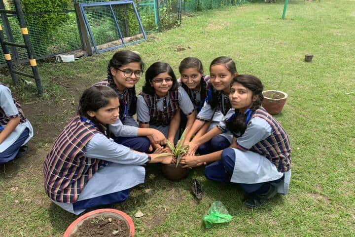Himalaya Vidya Mandir-Tree Plantation