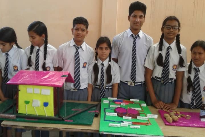 Hope Way Public School-Science Exhibition
