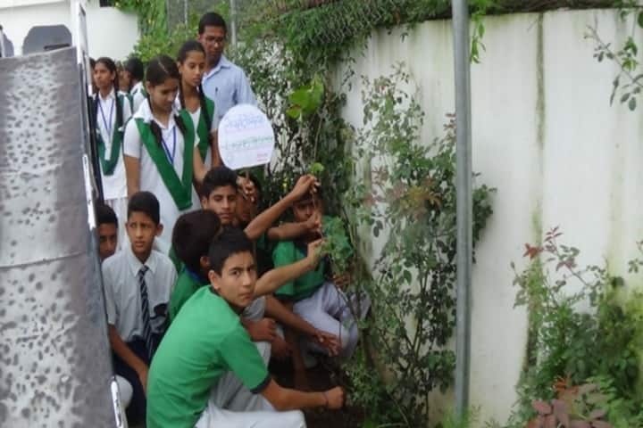 Janki Children Academy-Tree Plantation