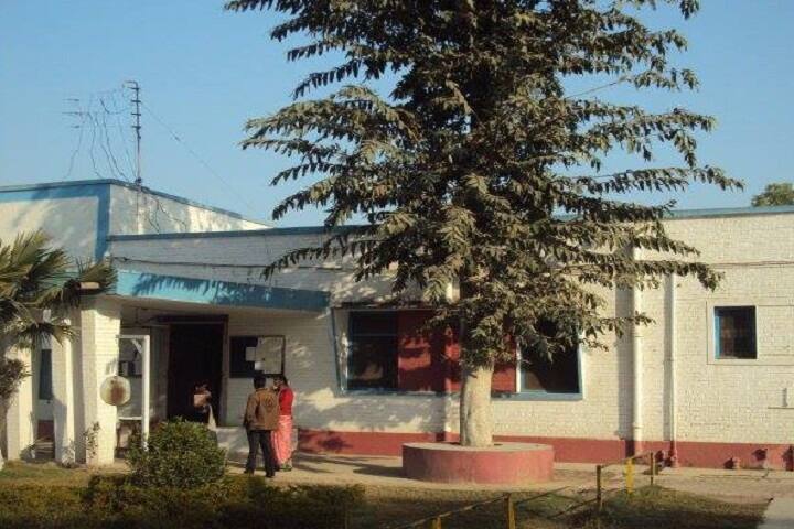 Jawahar Navodaya Vidyalaya-School Building