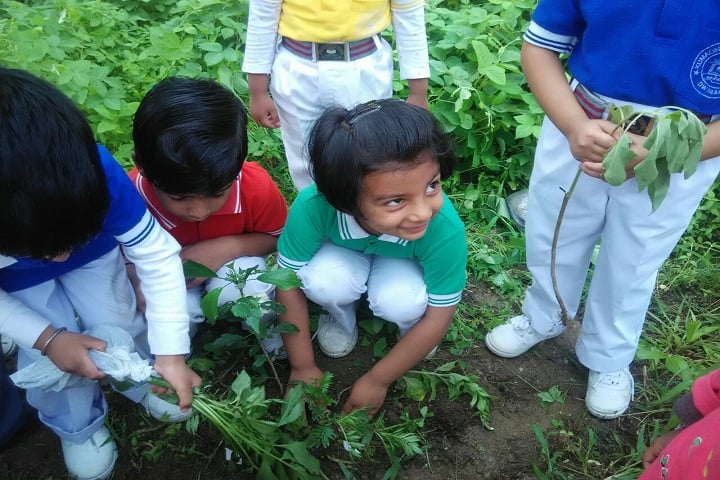 Kumaon Public School-Plantation