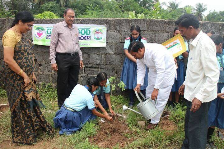 Greenwood High School-Planting