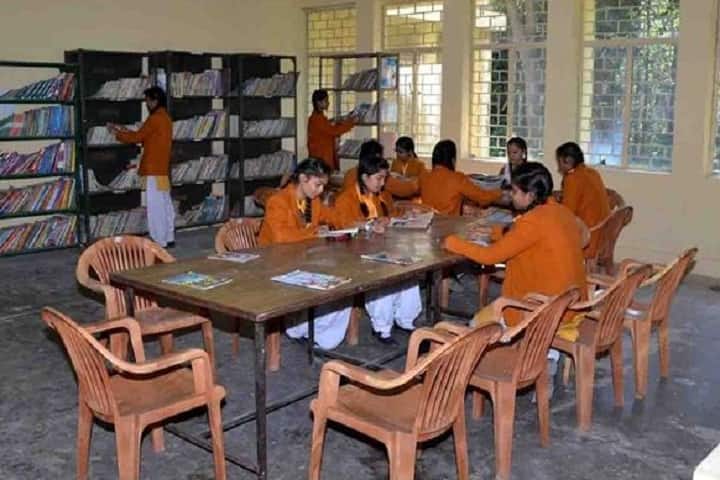 Maharishi Vidya Mandir-Library