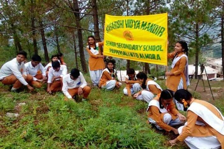Maharshi Vidya Mandir-Plantation Activity
