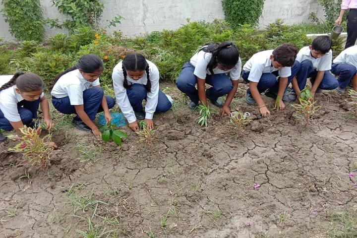Mother India Global School-Tree Plantation