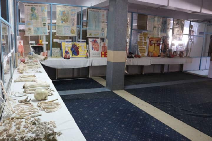 Naincy Convent-Laboratory Biology