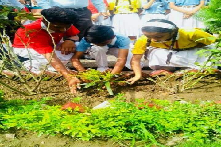 Nancy International School-Tree Plantation