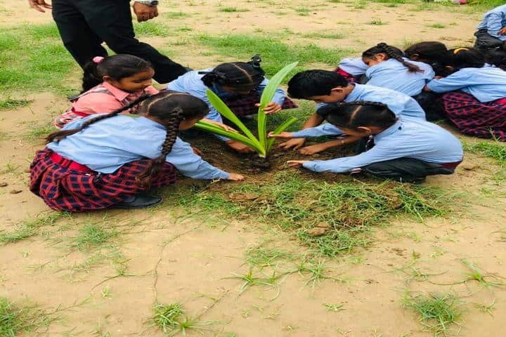 New Light School-Tree Plantation