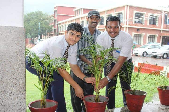 Nirmala Convent Senior Secondary School-Tree Planatation