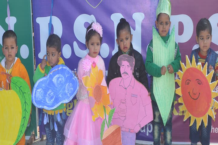 Persistent Students Nest Higher Secondary School-Fancy Dress
