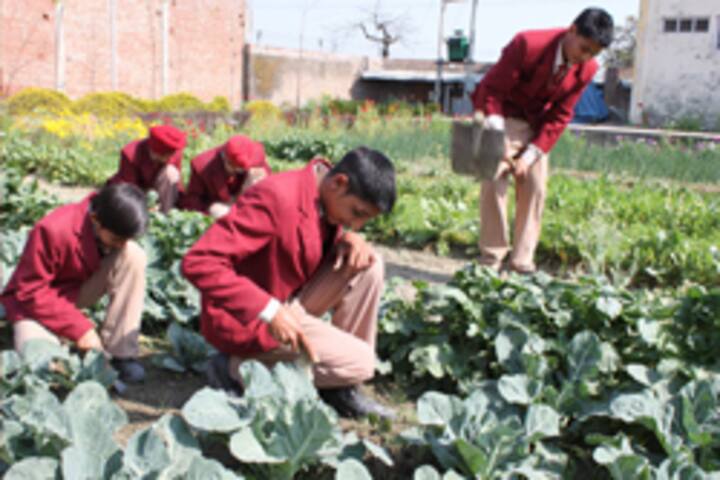 Riverdale International School-Farming