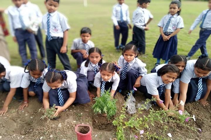 Rudra Public School-Plantation