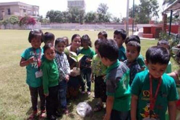Sant Kabeer Academy-Green Day