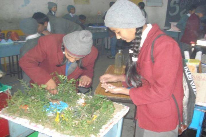 Sharda Public School-Activities