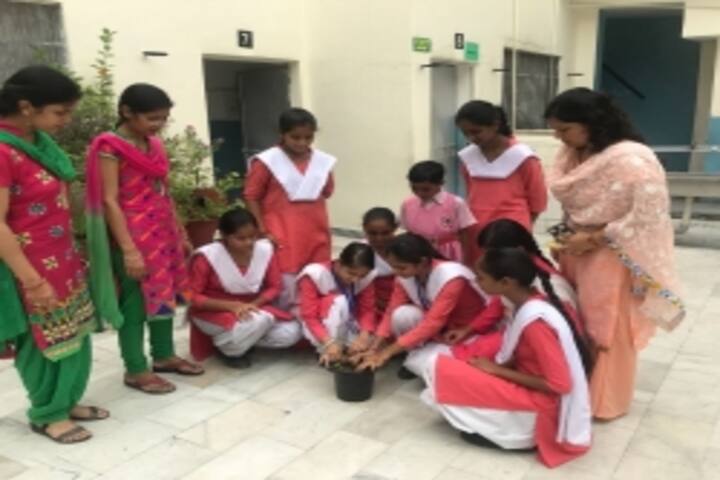Vedic Girls Senior Secondary School-Plantation