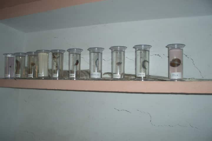 Snow white public school-Biology Lab