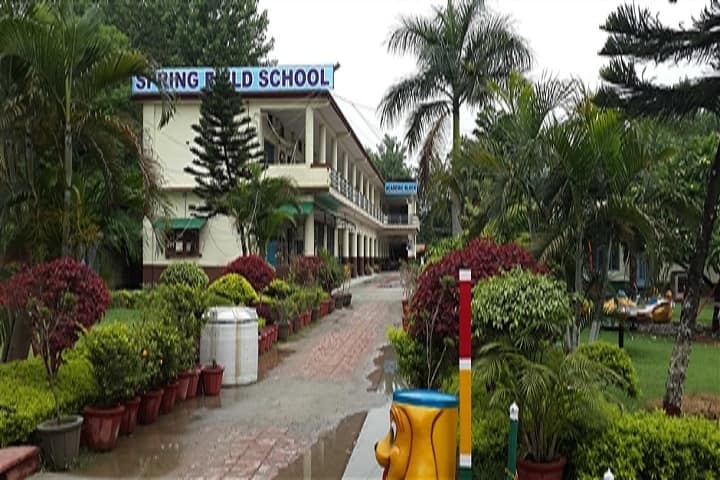 Spring Field School-School View