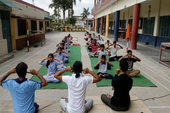 Spring Field School-Yoga Activity