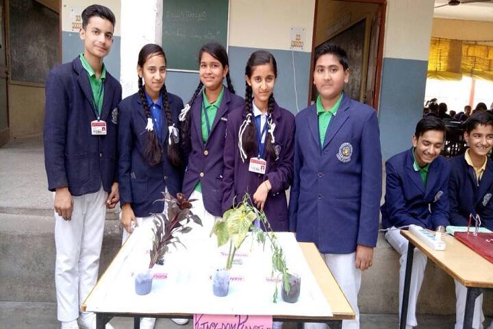 "St. Xaviers Convent School-School-Exhibition"