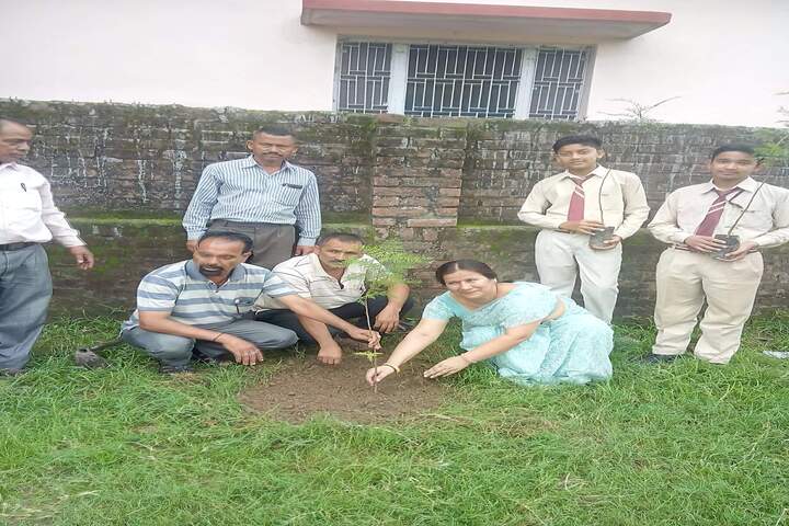 TCG Public School-Tree Plantation