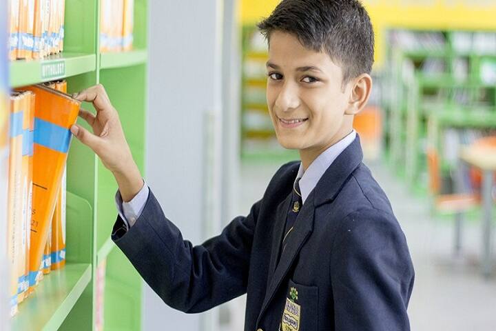 The Indian Public School-Library