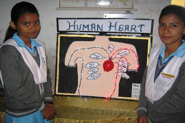 The Indian Public School-Science Lab