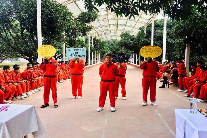The Royal College-Activity