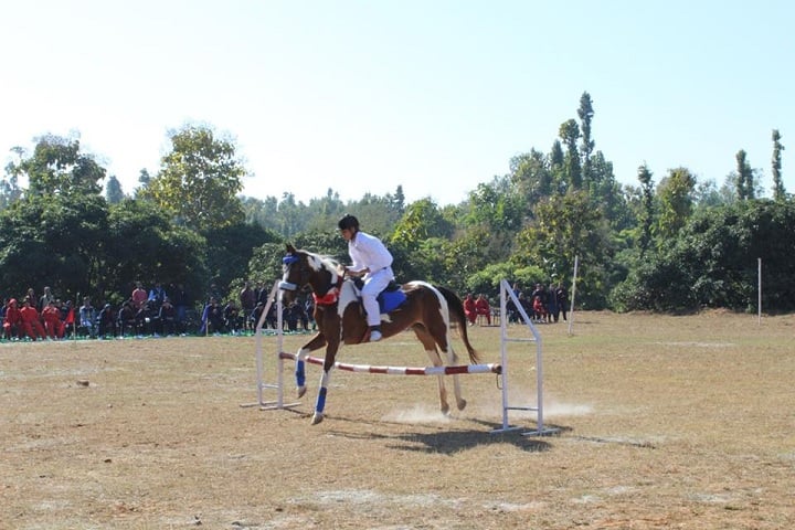 The Royal College-Horse Riding Activity