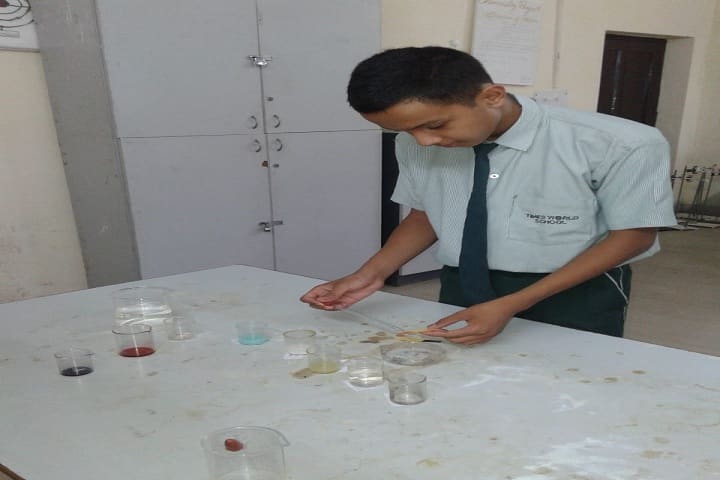 Times World School-Science Laboratory