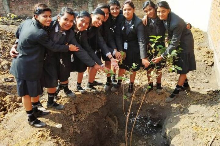 Adarsh Vidyalalya English Medium Higher Secondary School-Tree Plant