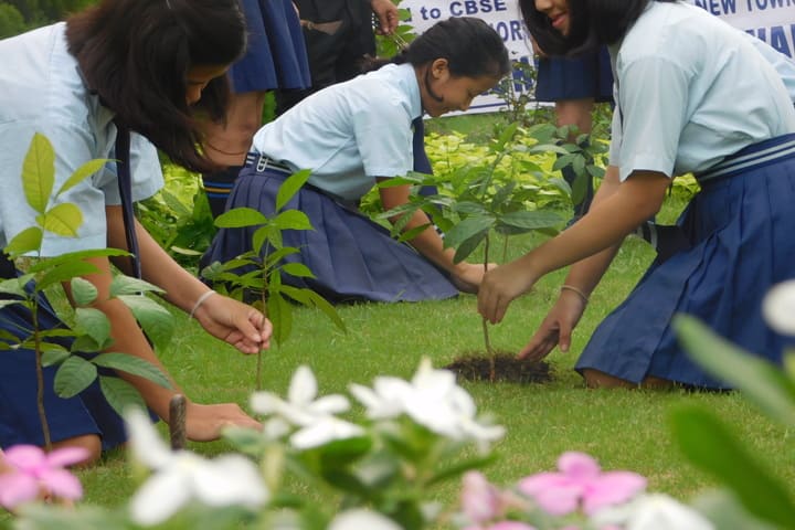 Bodhicariya Senior Secondary School-Plant A Tree