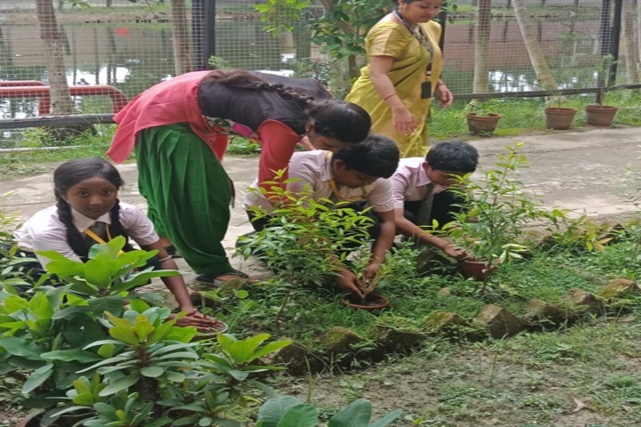 Bodhisukha School- Tree Plantation