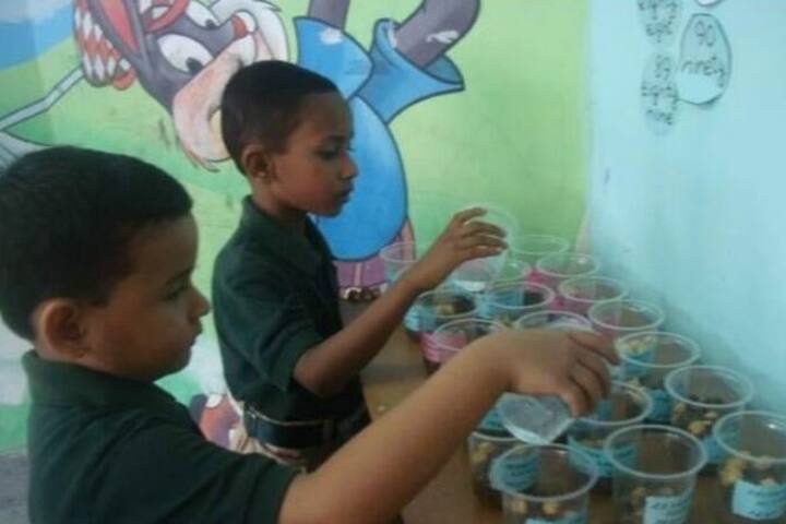 Delhi Public School-Class Room Activity