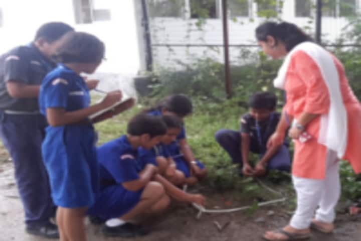 Future Campus School-Tree Plantation