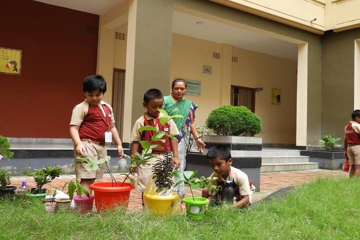 Hebron School-Plant A Tree Programme
