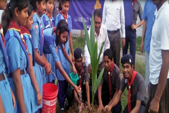 Jawahar Navodaya Vidyalaya-Planting Tree