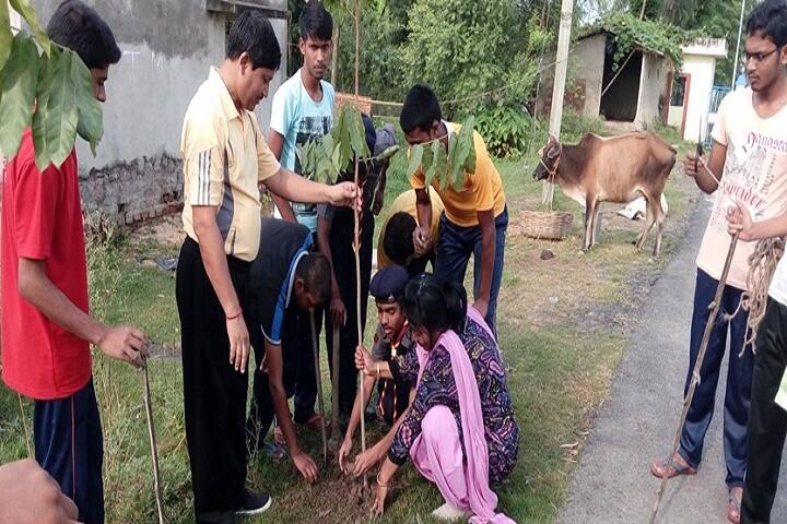 Jawahar Navodaya Vidyalaya II-Plantation
