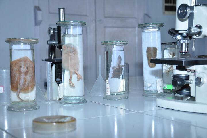 Kalyani Public School-Biology-Lab-2
