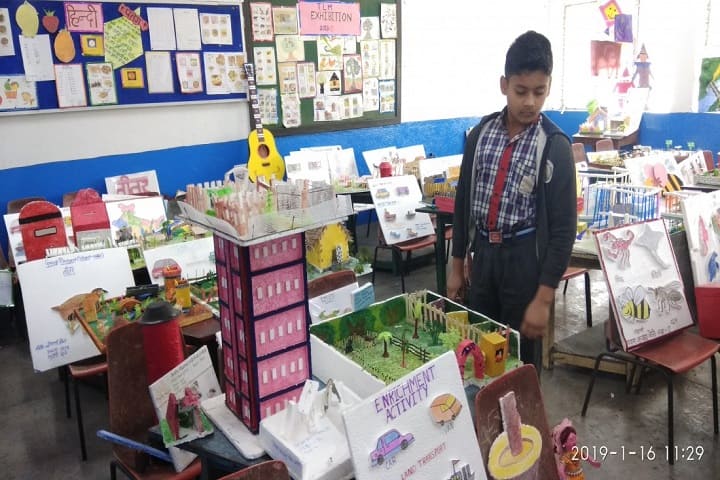 Kendriya Vidylaya-Primary Section Exhibitions