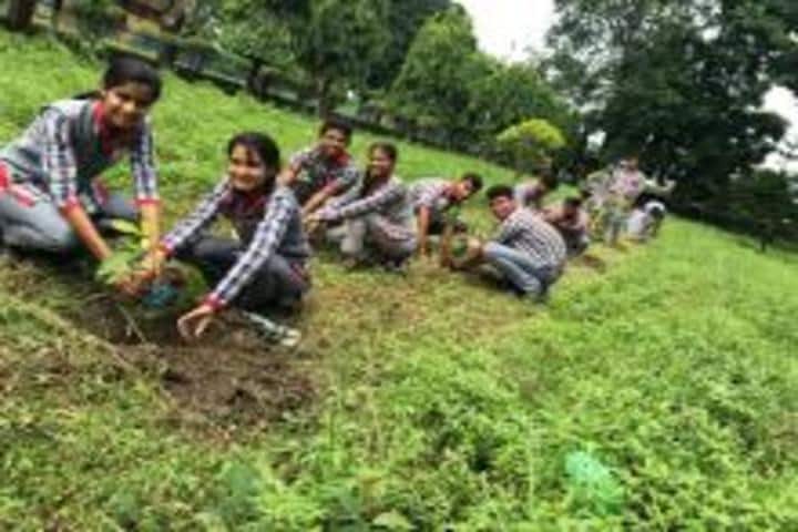 Kendriya Vidyalaya-Tree Plant