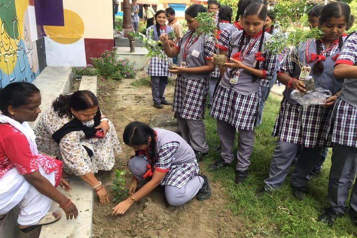 Kendriya Vidyalaya No 2-Plantation
