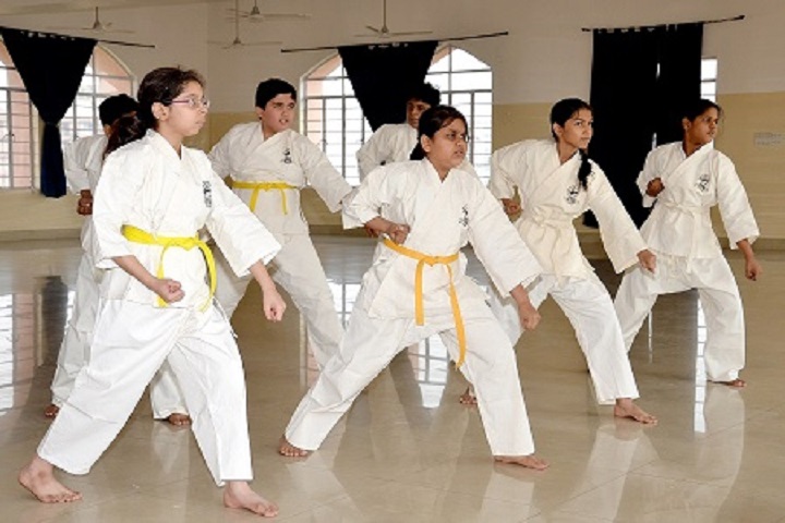 Lakshmipat Singhania Academy-Karate Class