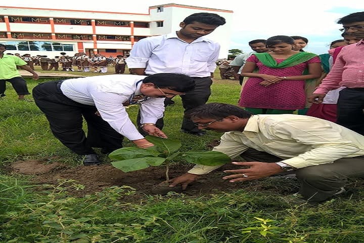 Memari Crystal Model School-Tree Plantation