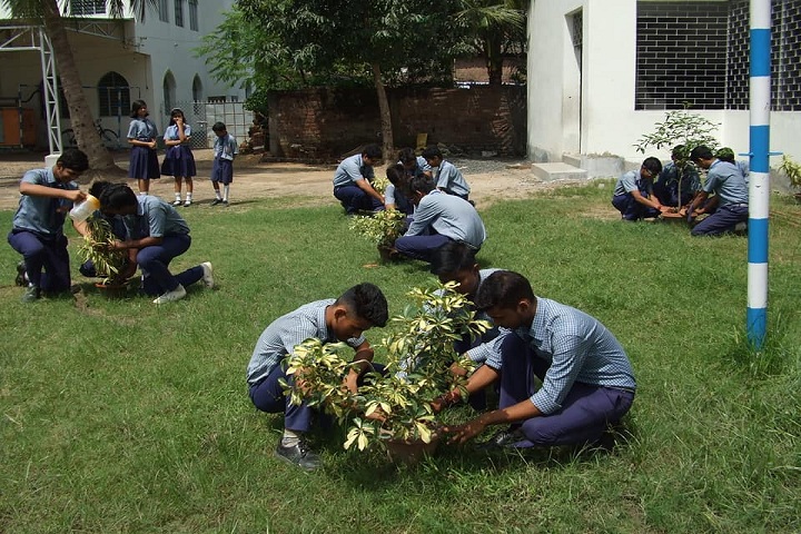 Vivekananda Academy-Plantation