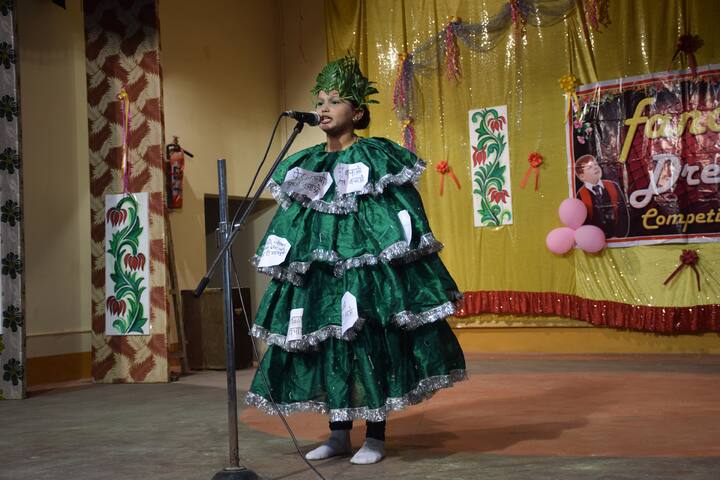St Josephs School-Fancy Dress Competition
